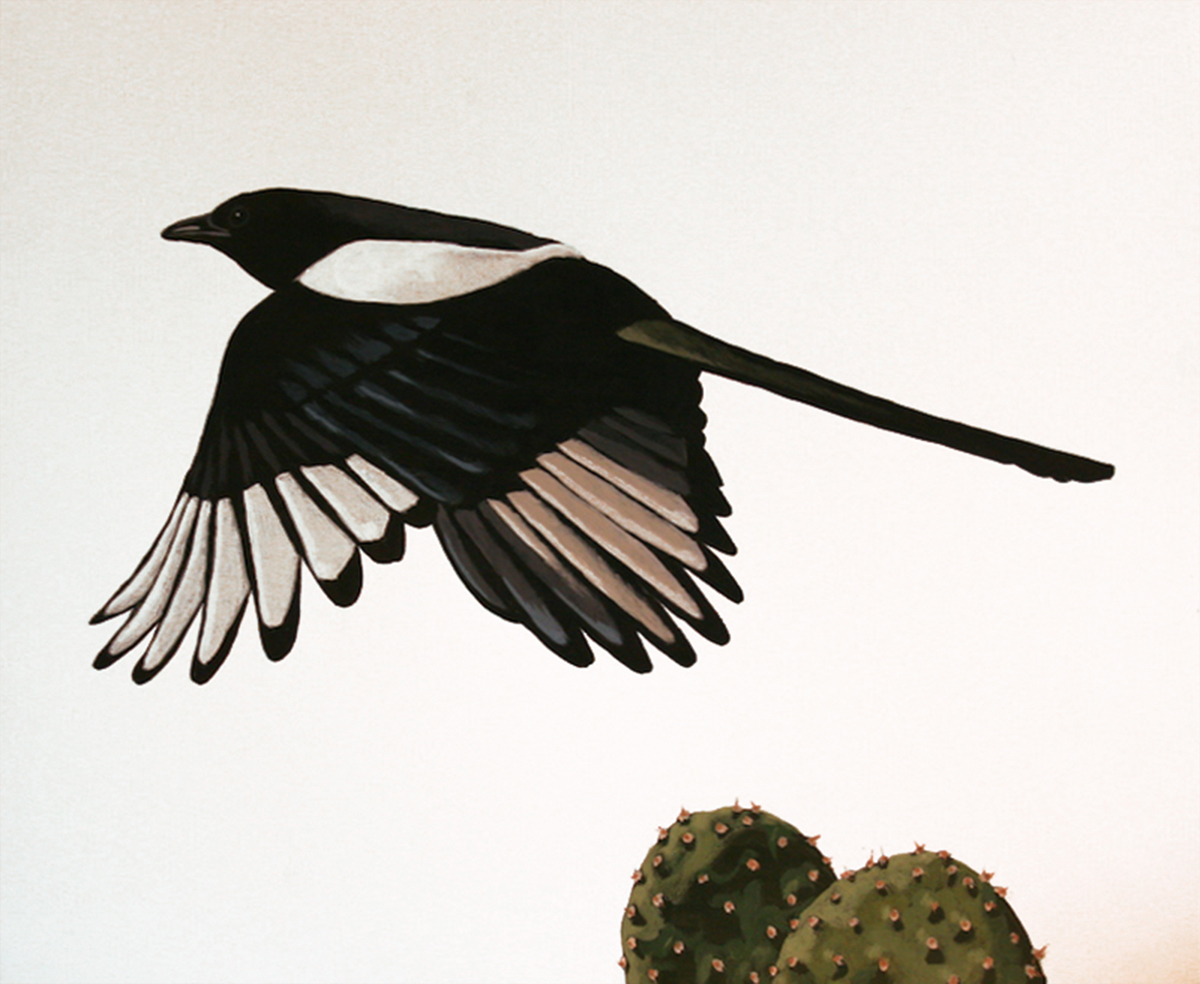 Magpie